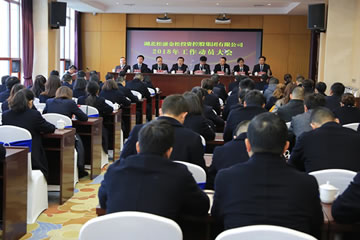 【視頻】新春開局看“金松”